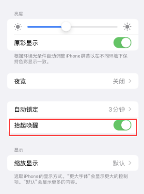 瑞安苹果授权维修站分享iPhone轻点无法唤醒怎么办