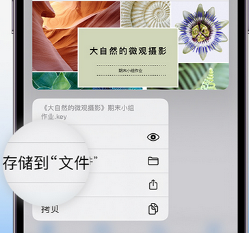 瑞安apple维修中心分享iPhone文件应用中存储和找到下载文件