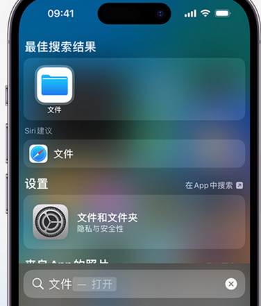 瑞安apple维修中心分享iPhone文件应用中存储和找到下载文件 