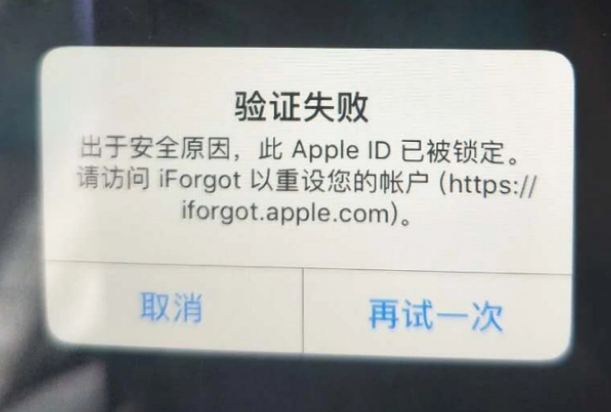 瑞安iPhone维修分享iPhone上正常登录或使用AppleID怎么办 