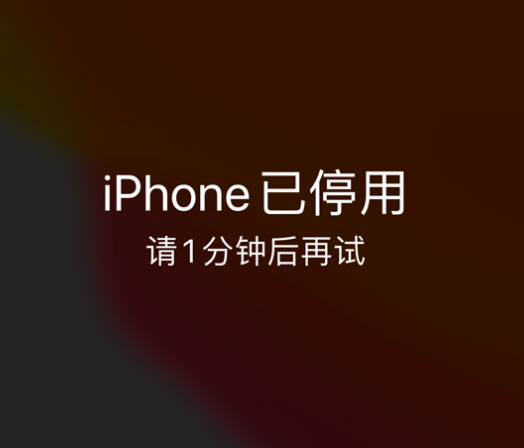 瑞安苹果手机维修分享:iPhone 显示“不可用”或“已停用”怎么办？还能保留数据吗？ 