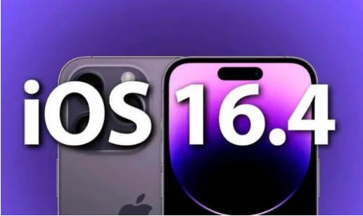 瑞安苹果14维修分享：iPhone14可以升级iOS16.4beta2吗？ 