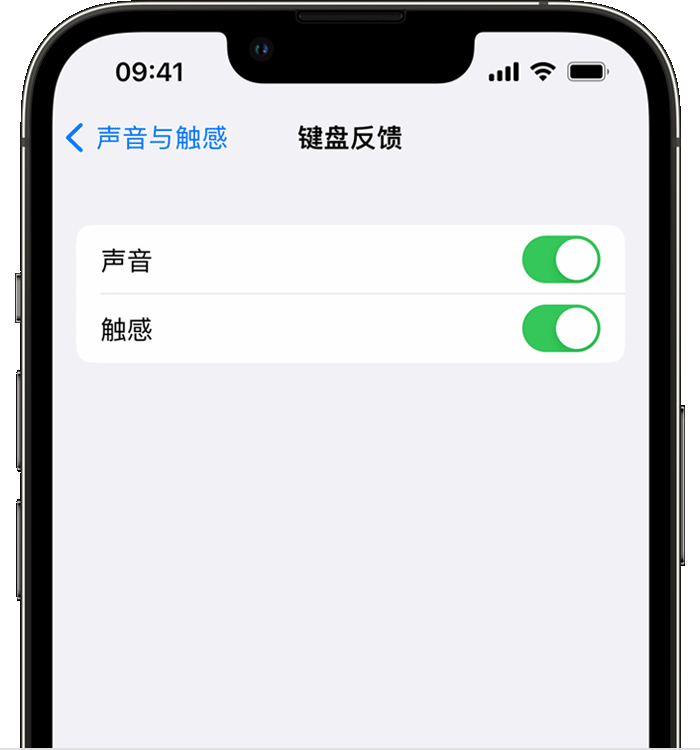 瑞安苹果14维修店分享如何在 iPhone 14 机型中使用触感键盘 