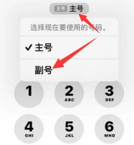 瑞安苹果14维修店分享iPhone 14 Pro Max使用副卡打电话的方法 