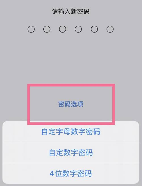 瑞安苹果14维修分享iPhone 14plus设置密码的方法 