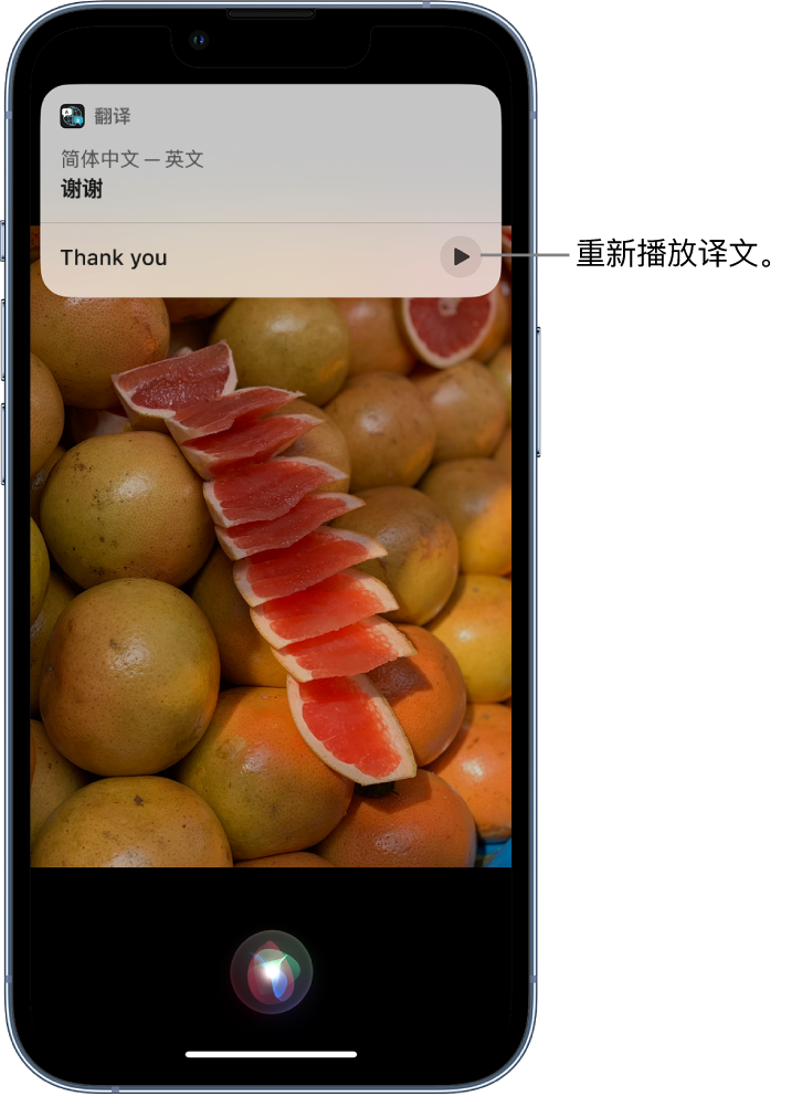 瑞安苹果14维修分享 iPhone 14 机型中使用 Siri：了解 Siri 能帮你做什么 