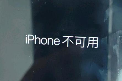 瑞安苹果服务网点分享锁屏界面显示“iPhone 不可用”如何解决 