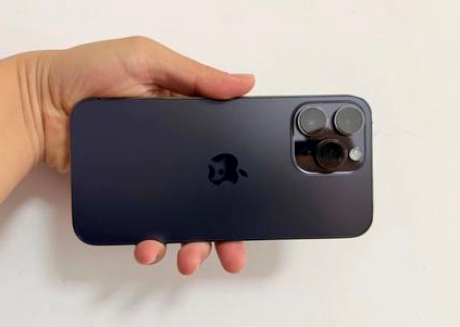 瑞安苹果维修点分享iPhone 14 Pro Max黑屏少见故障盘点 